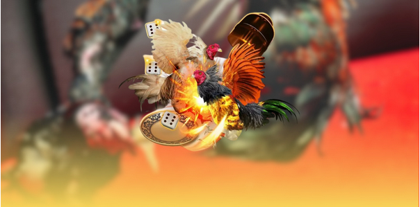 Khuyến Mãi SV388 – Cơ Hội Vàng Dành Cho Tín Đồ Đá Gà Trực Tuyến